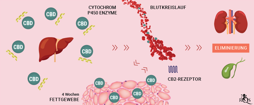 CBD Medication desktop-update-DE