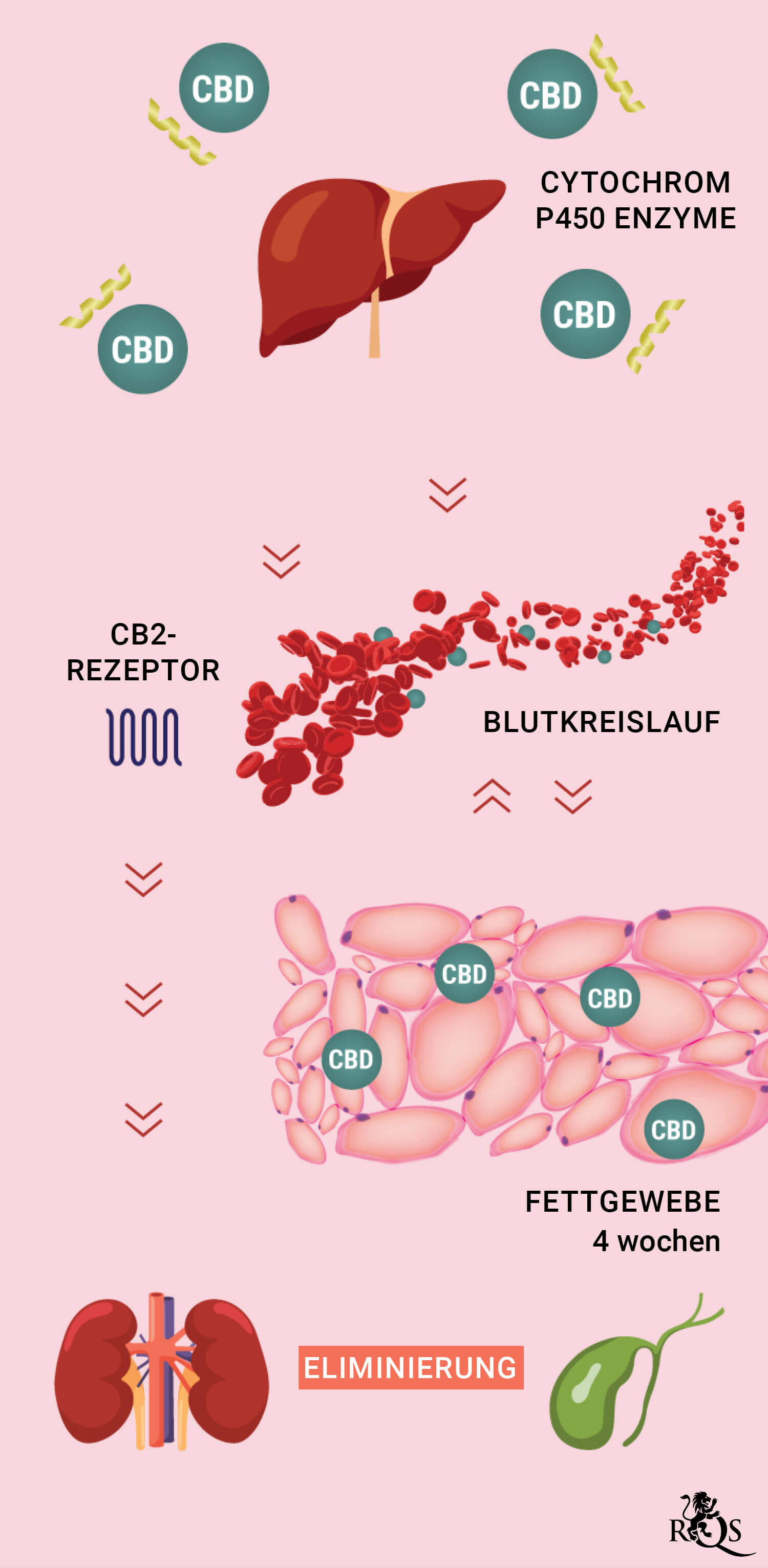 CBD Medication desktop-mobile-de