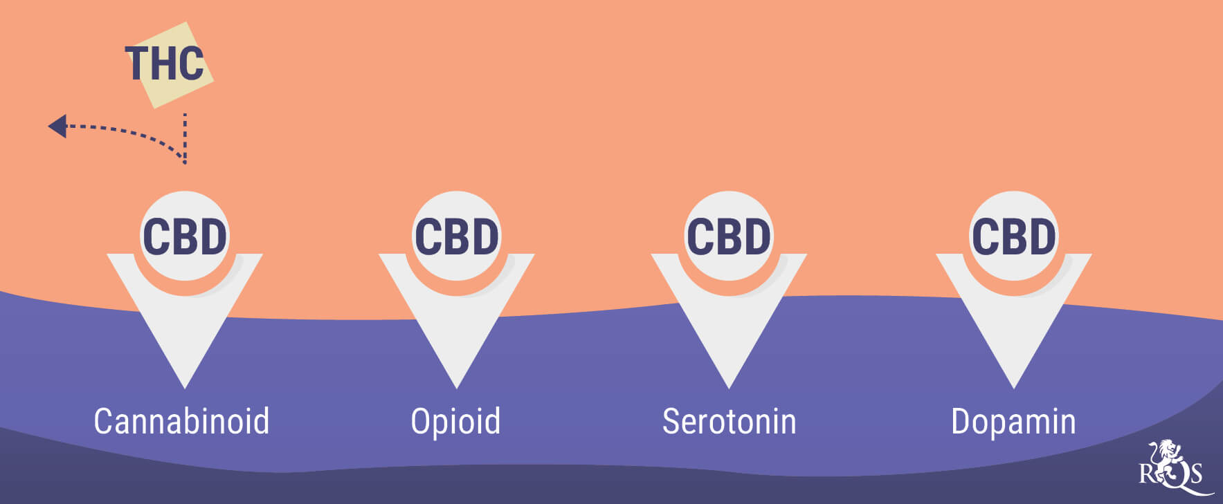 Cannabis und psychische Gesundheit: ein kompliziertes Verhältnis Cannabis und psychische Gesundheit: ein kompliziertes Verhältnis