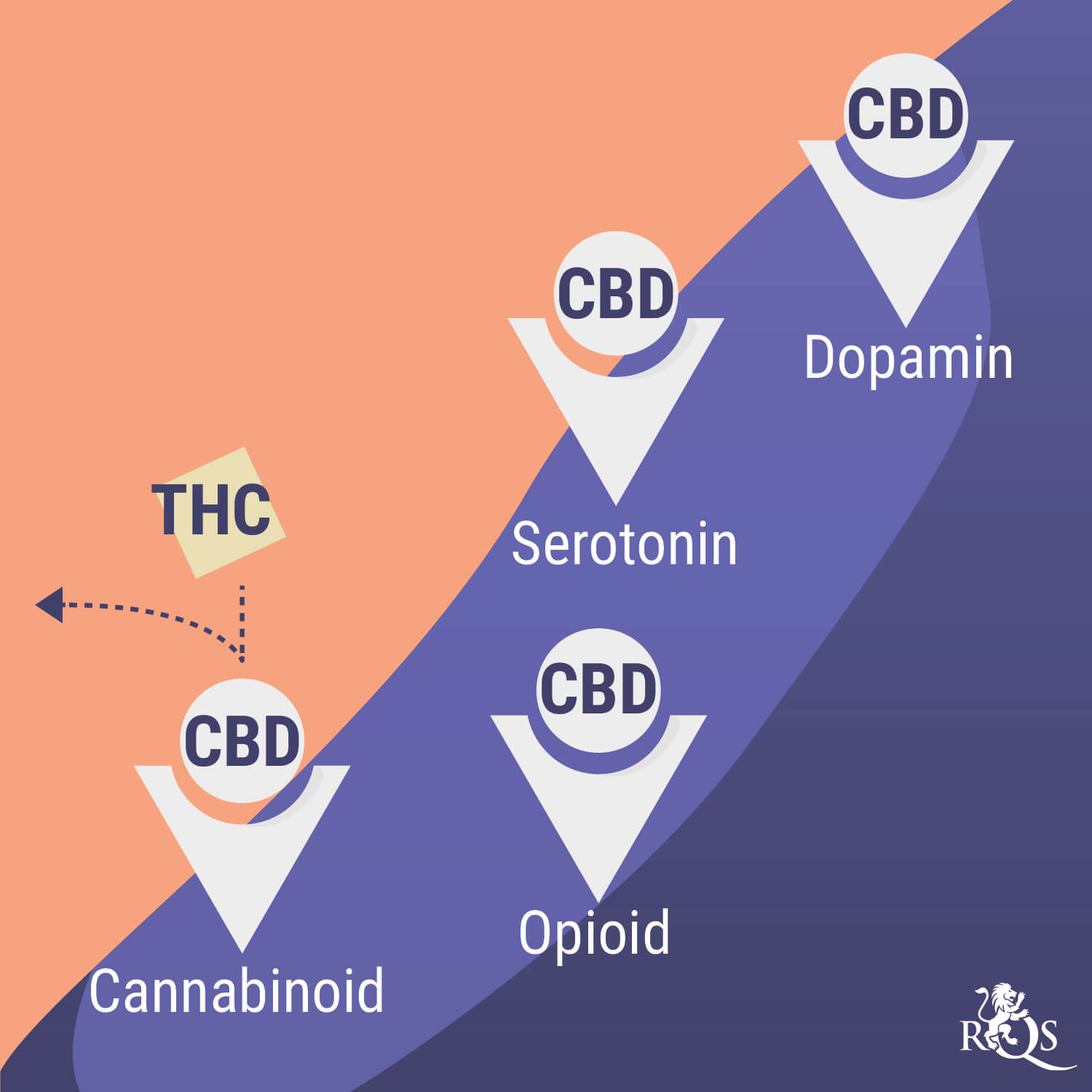 Cannabis und psychische Gesundheit: ein kompliziertes Verhältnis Cannabis und psychische Gesundheit: ein kompliziertes Verhältnis