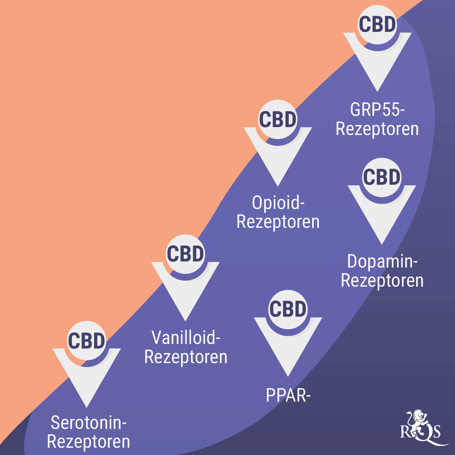 Wie Cannabis mit Antidepressiva interagiert Wie Cannabis mit Antidepressiva interagiert