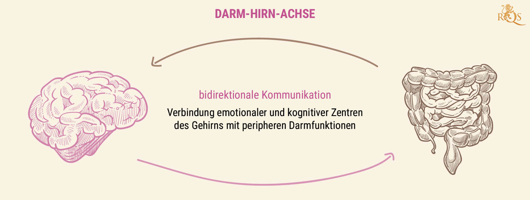 Warum ist Darmgesundheit wichtig?