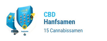 cbd-cannabis-hanfsamen