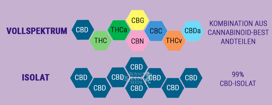 Vollspektrum-CBD vs. Isolat