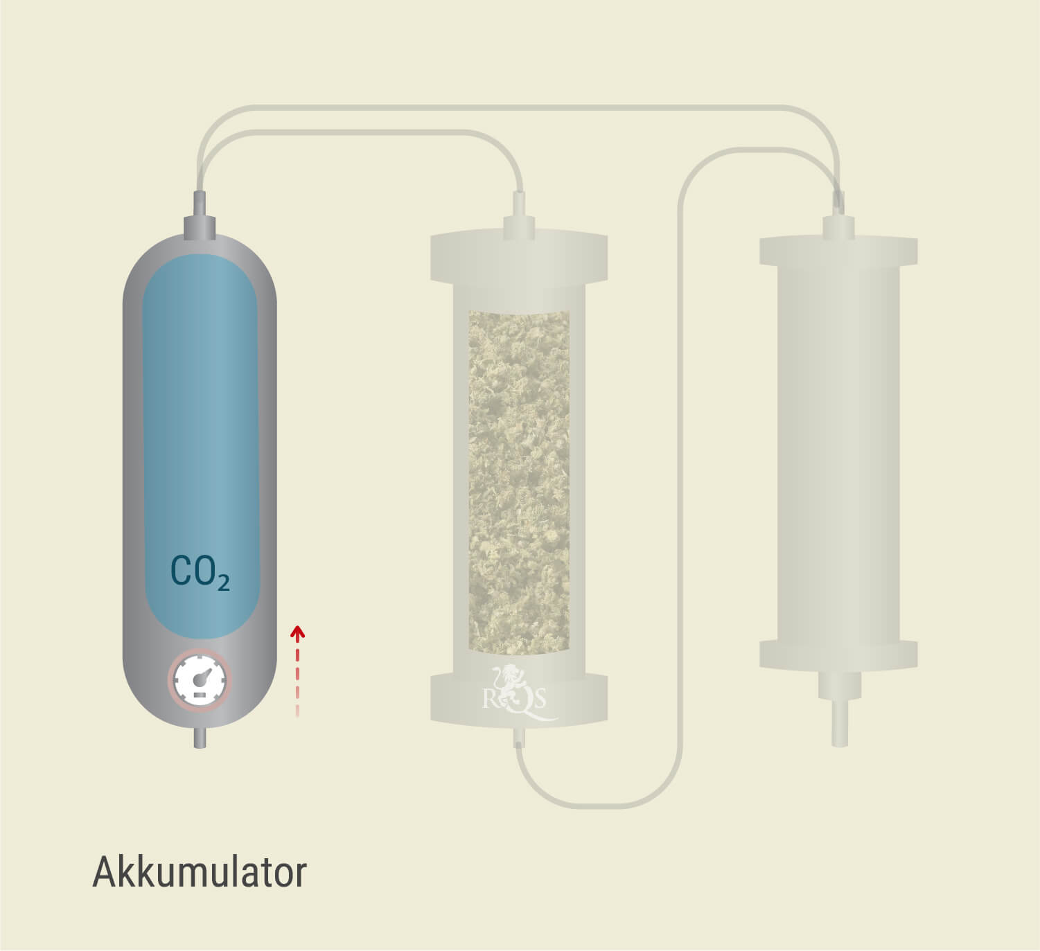 CO₂-Extraktion: Schritt-für-Schritt-Prozess