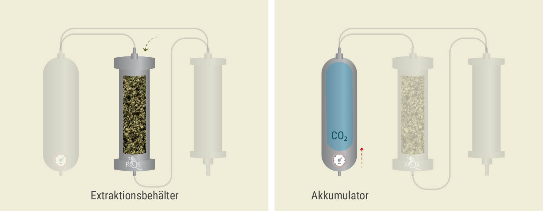 CO₂-Extraktion: Schritt-für-Schritt-Prozess