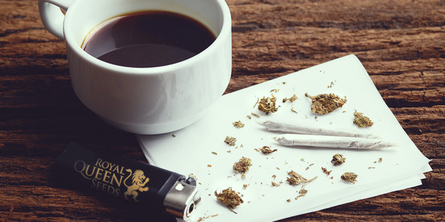 KAFFEE WEED CANNABIS ROYAL KÖNIGIN SAMEN