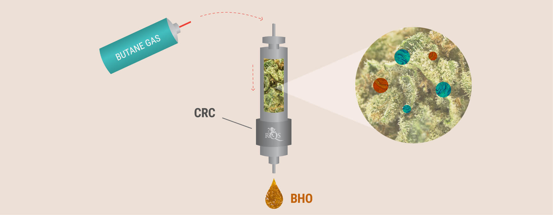 Das CRC-Verfahren Das CRC-Verfahren