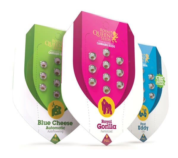 Royal Queen Seeds Genetics Royal Queen Seeds Genetics