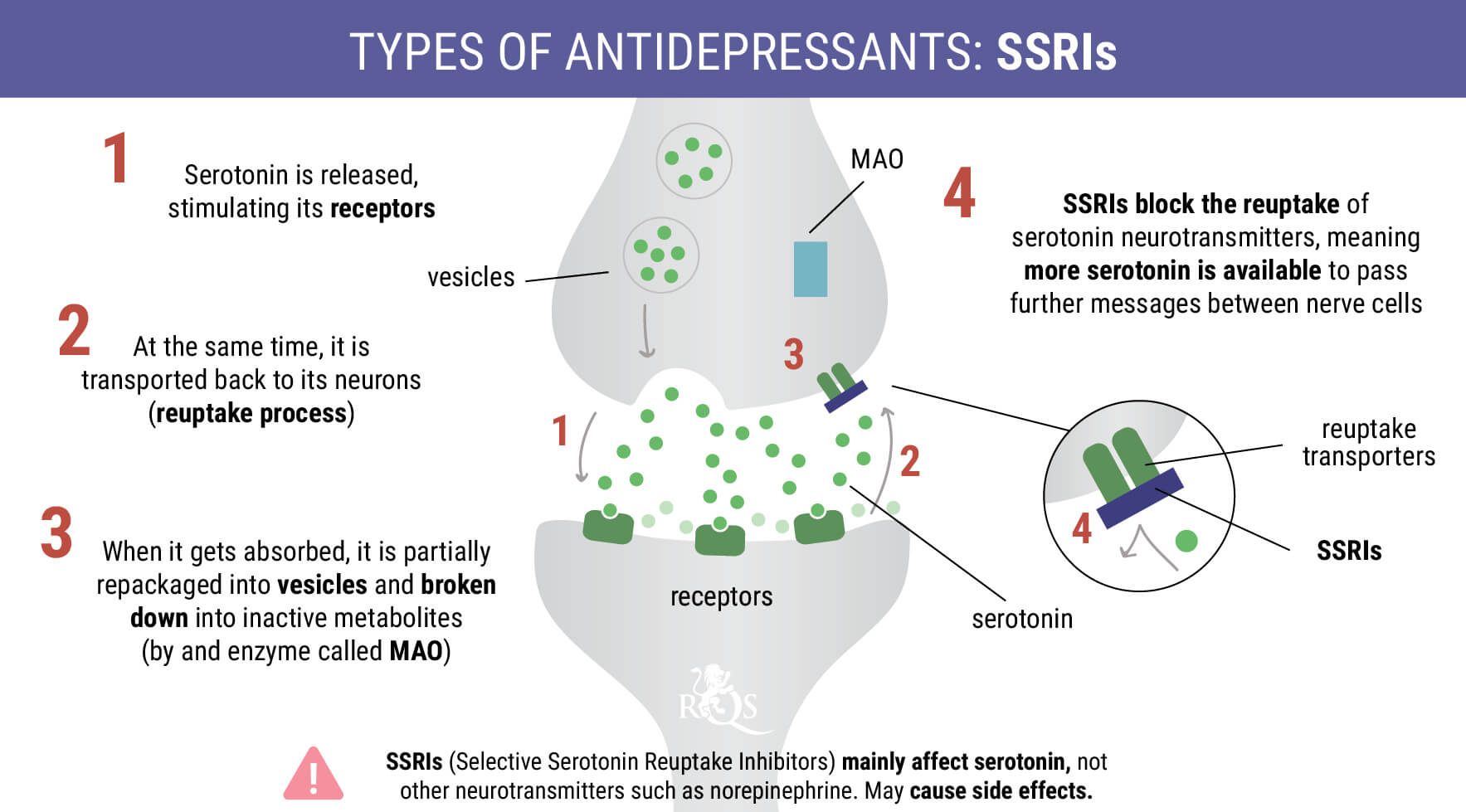Selektive Serotoninwiederaufnahmehemmer Doccheck Flexikon Selektive Serotoninwiederaufnahmehemmer Doccheck Flexikon