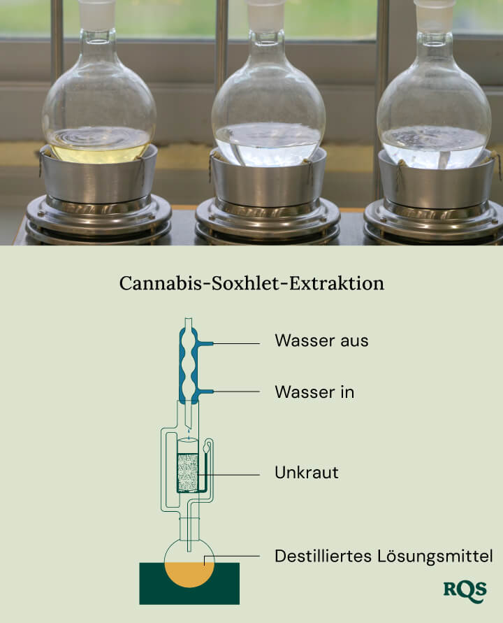 Cannabis soxhlet extraction