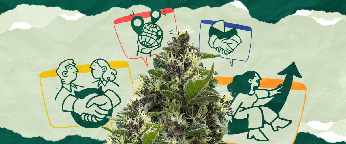 Ist Cannabis-Tourismus gut für die Wirtschaft? Untersuchen Sie die potenziellen wirtschaftlichen Vorteile des Cannabis-Tourismus, einschließlich Einnahmengenerierung, Schaffung von Arbeitsplätzen und Auswirkungen auf die lokale Wirtschaft.
