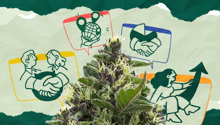 Ist Cannabis-Tourismus gut für die Wirtschaft? Untersuchen Sie die potenziellen wirtschaftlichen Vorteile des Cannabis-Tourismus, einschließlich Einnahmengenerierung, Schaffung von Arbeitsplätzen und Auswirkungen auf die lokale Wirtschaft.