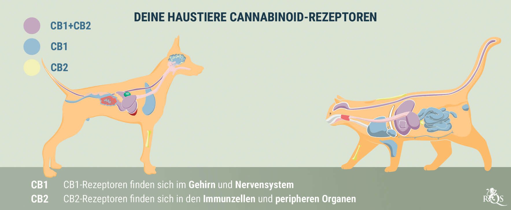 Medical Cannabis for Dogs and Cats