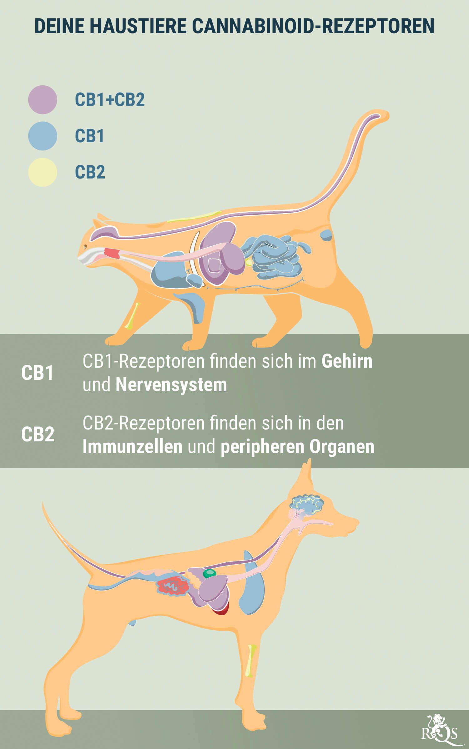 Receptors on your Pets