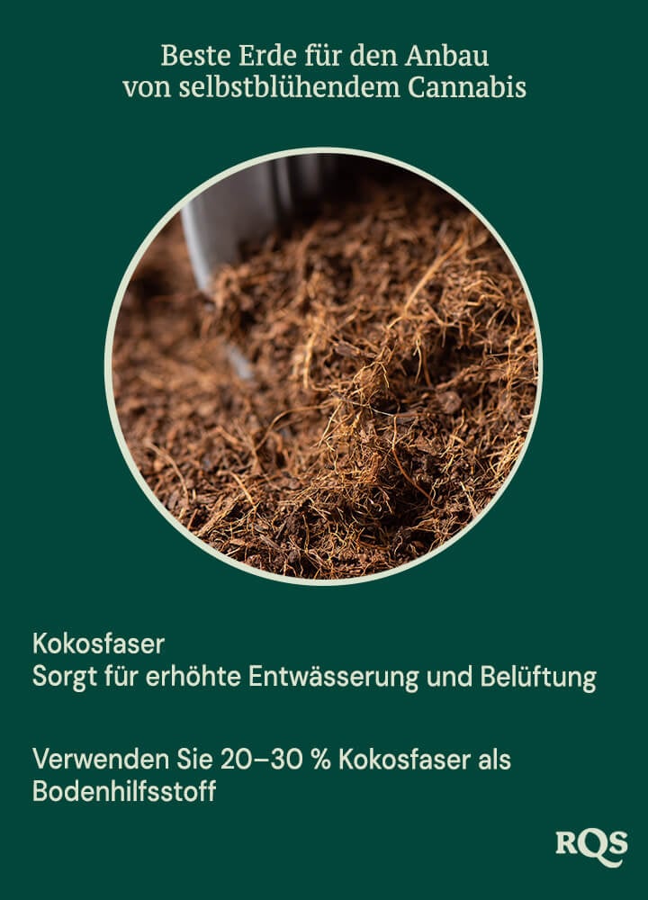 Coco coir for growing autoflowers