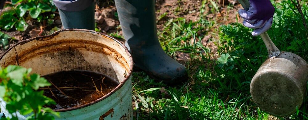 Compost Tea