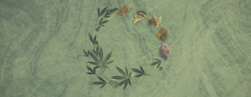 Der ultimative Leitfaden zu Cannabiskonzentraten