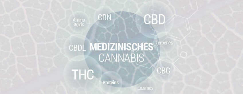 Medizinisches Cannabis für Anfänger: Das große Handbuch zu Medizinalhanf