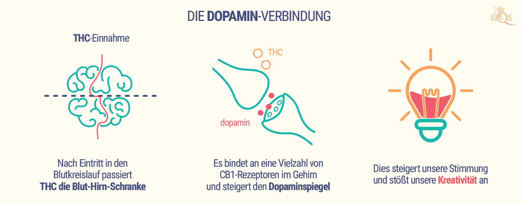 Die Dopamin-Verbindung