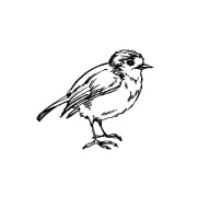 VOGELSTANGEN BAUEN VOGELSTANGEN BAUEN