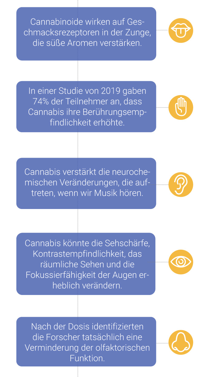 Wie sich Cannabis auf die Sinne auswirkt