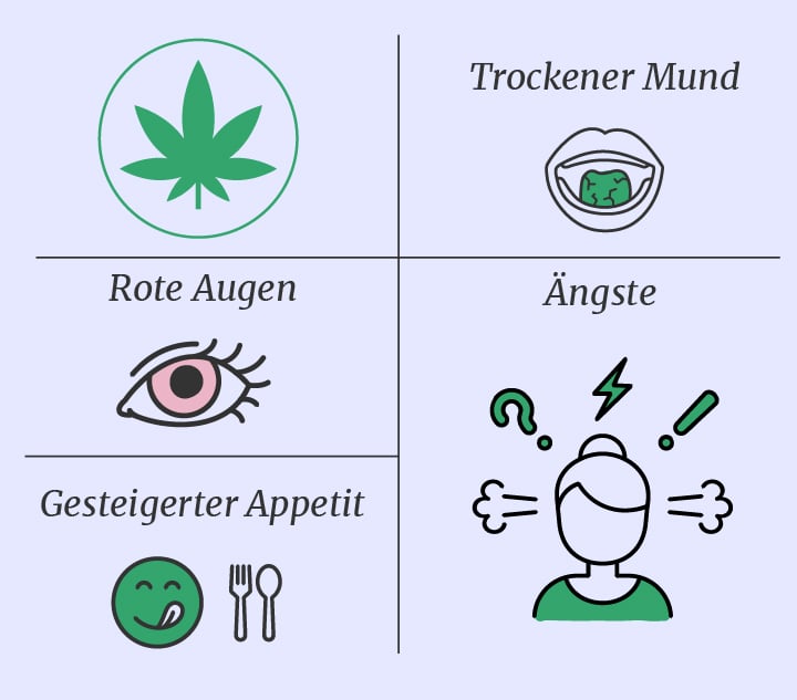 Cannabis vs. Magic Mushrooms