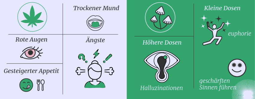 Cannabis vs. Magic Mushrooms