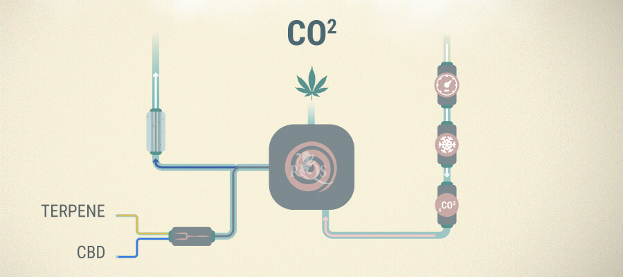 Cbd Co2 Extraktion Cbd Co2 Extraktion