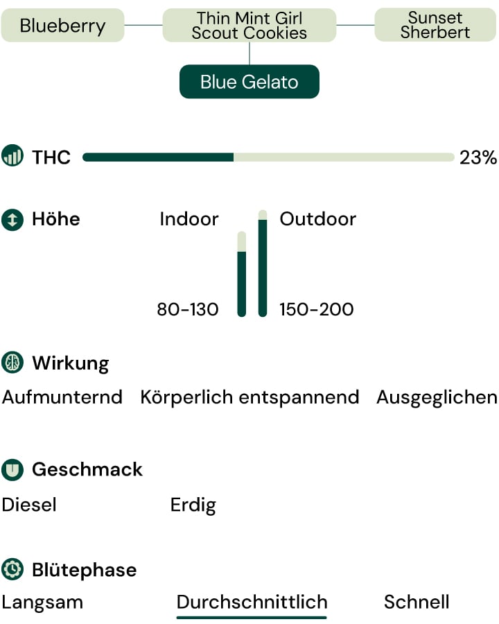 Sortenmerkmale von Blue Gelato Sortenmerkmale von Blue Gelato