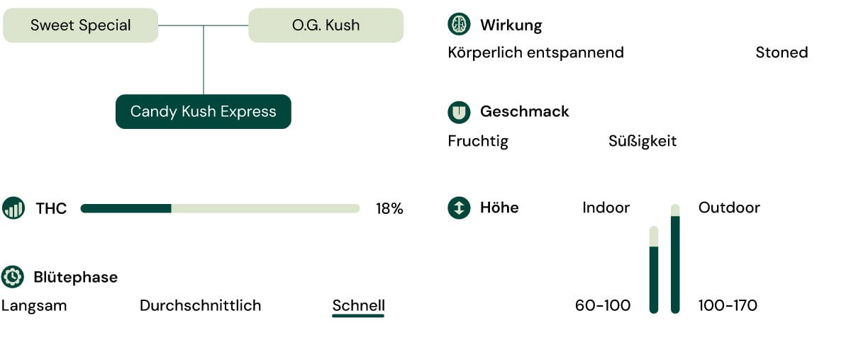 Sortenmerkmale von Candy Kush Express