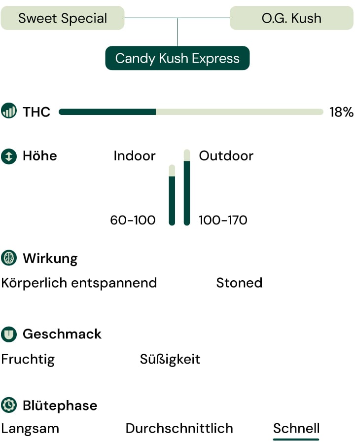 Sortenmerkmale von Candy Kush Express