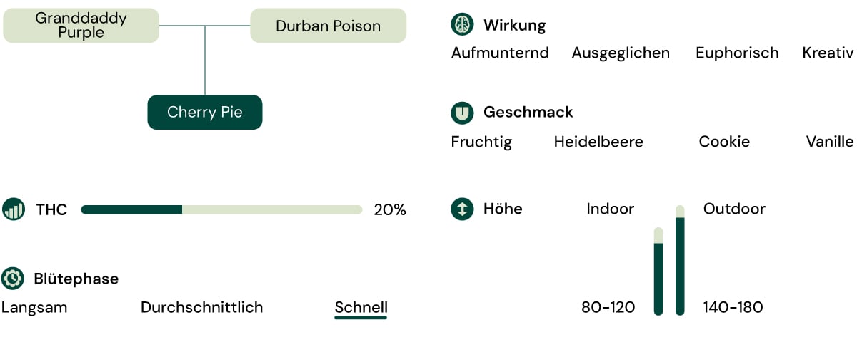 Sortenmerkmale von Cherry Pie Sortenmerkmale von Cherry Pie