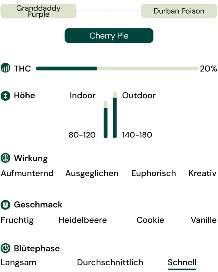 Sortenmerkmale von Cherry Pie Sortenmerkmale von Cherry Pie