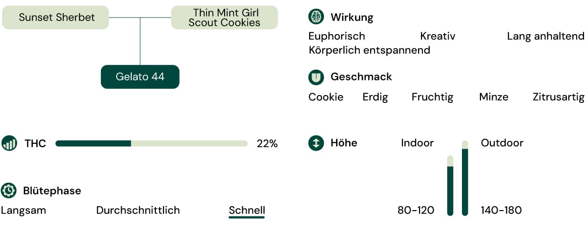 Sortenmerkmale von Gelato 44 Sortenmerkmale von Gelato 44