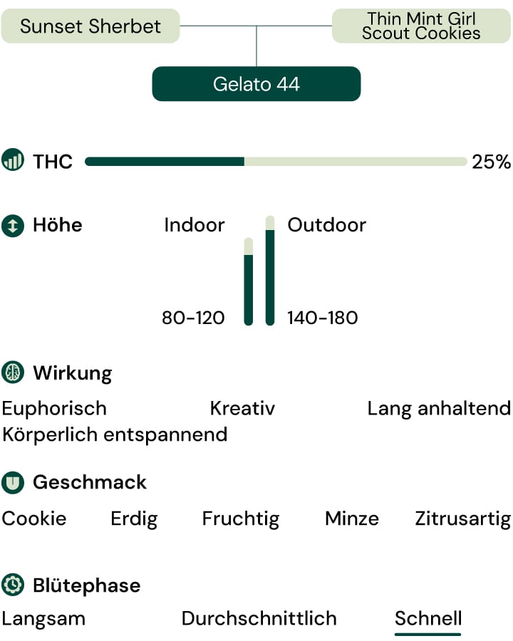 Sortenmerkmale von Gelato 44 Sortenmerkmale von Gelato 44