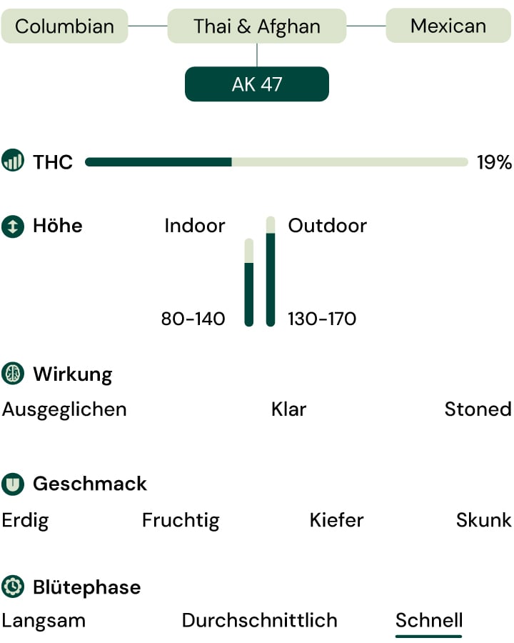 Sortenmerkmale von Royal AK (AK-47) Sortenmerkmale von Royal AK (AK-47)