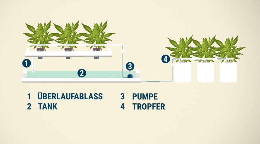 Hydroponisches Tropfsystem