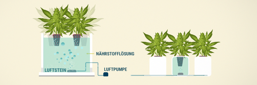 Tiefwasser-Kultur (eng.: Deep Water Culture; DWC) Tiefwasser-Kultur (eng.: Deep Water Culture; DWC)