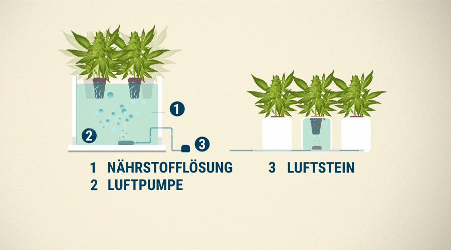 Tiefwasser-Kultur (eng.: Deep Water Culture; DWC) Tiefwasser-Kultur (eng.: Deep Water Culture; DWC)