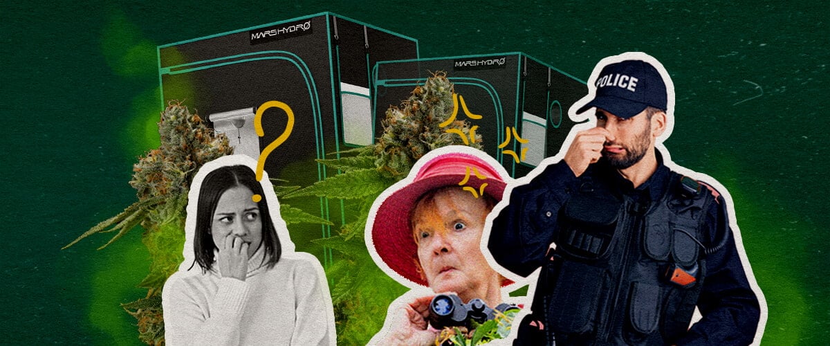 Halten Grow-Zelte den Geruch von Cannabis Eine Illustration von Cannabisknospen mit Grow-Zelten, einer verwirrten Frau, einer überraschten Frau mit Fernglas und einem Polizisten, auf einem grünen Hintergrund, die untersucht, ob Grow-Zelte den Cannabis-Geruch enthalten.