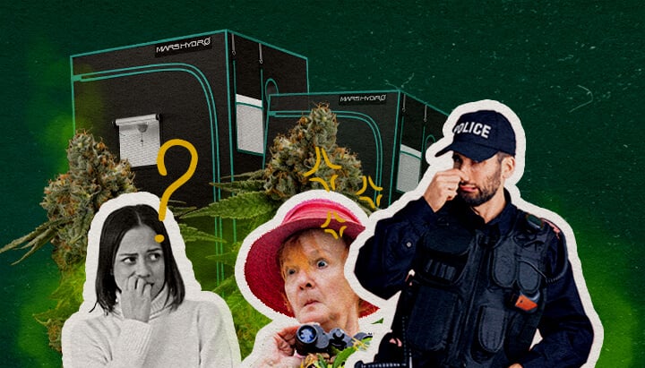 Halten Grow-Zelte den Geruch von Cannabis Eine Illustration von Cannabisknospen mit Grow-Zelten, einer verwirrten Frau, einer überraschten Frau mit Fernglas und einem Polizisten, auf einem grünen Hintergrund, die untersucht, ob Grow-Zelte den Cannabis-Geruch enthalten.