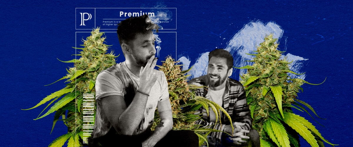 Eine Illustration eines Blue Gelato Cannabisknospen mit lila Tönen, umgeben von einer entspannenden und belebenden Aura, auf einem grünen Hintergrund, die die Effekte und die Benutzererfahrung der Sorte zeigt.