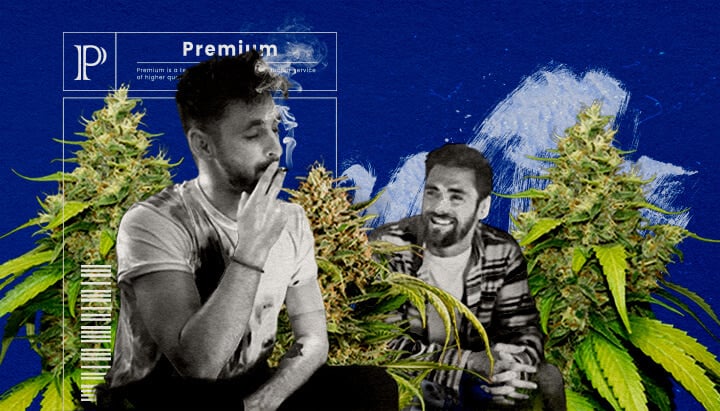 Eine Illustration eines Blue Gelato Cannabisknospen mit lila Tönen, umgeben von einer entspannenden und belebenden Aura, auf einem grünen Hintergrund, die die Effekte und die Benutzererfahrung der Sorte zeigt.