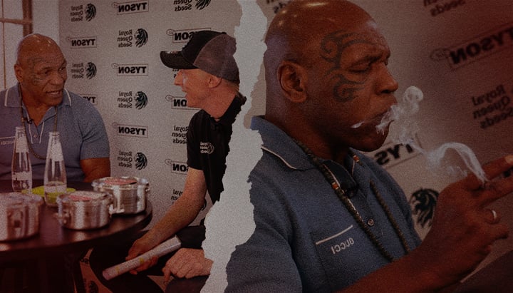 Mike Tyson im Gespräch mit einem Vertreter von Royal Queen Seeds, rauchend und ihre Cannabis-Partnerschaft sowie den euphorischen Lebensstil präsentierend.