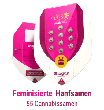 feminisierte-cannabis-hanfsamen