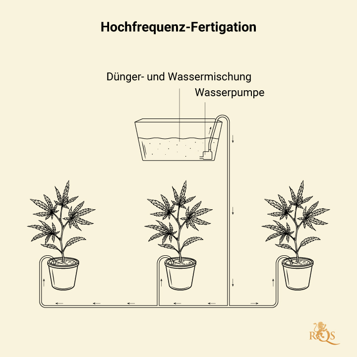 Fertigation in Cannabis