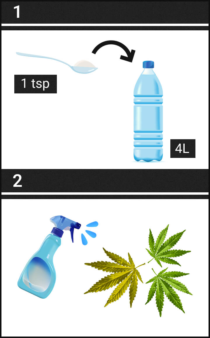 Step 1 Step 1