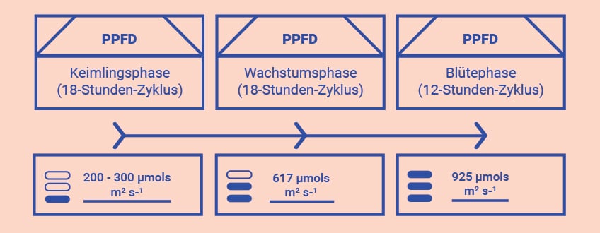 Optimiere Dein Wissen im Grow Room Optimiere Dein Wissen im Grow Room