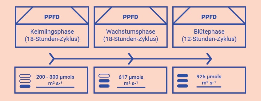 Optimiere Dein Wissen im Grow Room